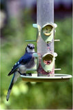 Wagner's 13002 Four Season Wild Bird Food, 10-Pound Bag