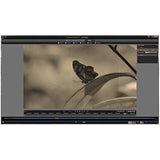Dazzle DVD Recorder HD - Video Capture Card Device [PC Disc]