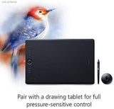 Corel Painter Essentials 6 Digital Art Suite [PC/Mac Disc]