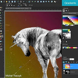 Corel PaintShop Pro 2018 Photo Editing and Graphic Design Suite for PC (Old Version)