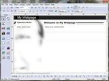 SiteSpinner