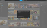 Corel PaintShop Pro X9 (Old Version)