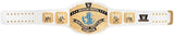 WWE Intercontinental Championship Replica Title (2014)