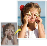 PhotoStudio Expressions Platinum 6 PC Disc