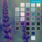Corel PaintShop Pro 2018 Photo Editing and Graphic Design Suite for PC (Old Version)
