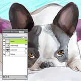 Corel Painter Essentials 5 Digital Art Suite for PC and Mac (Old Version)