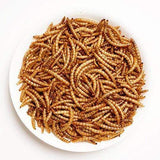 5lbs-100% Non-GMO Dried Mealworms - High-Protein Meal Worm Treats