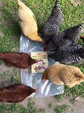 11lbs Bulk Non-GMO Dried Mealworms for Reptile, Tortoise ; Amphibian,Lizard ;..