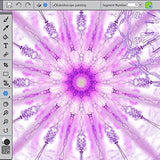 Corel Painter Essentials 5 Digital Art Suite for PC and Mac (Old Version)