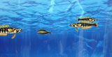 Simply Coding for Kids: Learn to Code Javascript - Video Game Design Coding Software - Computer Programming for Kids, Ages 11-18,
