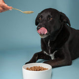 The Missing Link Ultimate Canine Senior Health Supplement for Dogs - 1 lb - Hip & Joint