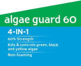 hth Pool Algaecide Super Algae Guard 60 (67064)