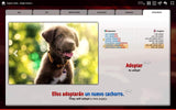 Learn Spanish with OUINO: The 5-in-1 Complete Collection (for PC, Mac, iPad, Android, Chromebook) - Redesigned & Expanded v3