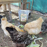 11lbs Bulk Non-GMO Dried Mealworms for Reptile, Tortoise ; Amphibian,Lizard ;..