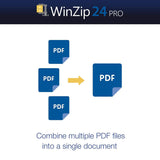 WinZip 24 Pro [PC Download]