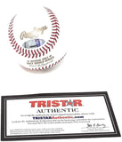 Jose Altuve Houston Astros Signed Autograph Official MLB World Series Baseball