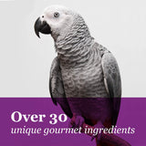 Gourmet Bird Food For Parrots, African Greys, And Conures Under 13"