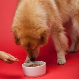 The Missing Link Ultimate Canine Senior Health Supplement for Dogs - 1 lb - Senior