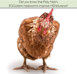 100% Non-GMO Dried Mealworms - High-Protein Mealworm Treats