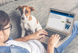 Quicken WillMaker & Trust 2020 Premium | Living Trust | Disc & Download Keycard  | (Includes Get It Together + Special Needs Trust + More)