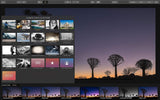 Luminar 3 Photo Editing Software [PC Download]