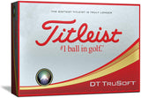 Titleist DT TruSoft Golf Balls (One Dozen)-white