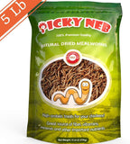 100% Non-GMO Dried Mealworms - High-Protein Mealworm Treats