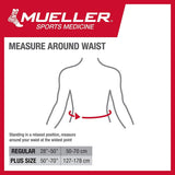 Mueller 255 Lumbar Support Back Brace with Removable Pad, Black, Regular(Package May Vary)
