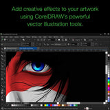 CorelDRAW Graphics Suite 2019 with ParticleShop Brush Pack for Windows - Amazon Exclusive - Upgrade [PC Disc]
