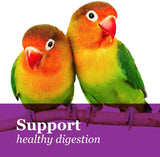 Gourmet Bird Food For Parrots, African Greys, And Conures Under 13"