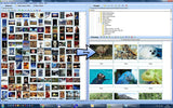 SortPix XL (2019) - Photo management software for PC