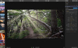 Luminar 3 Photo Editing Software [Mac Download]