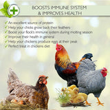 100% Non-GMO Dried Mealworms - Whole Large Meal Worms Bulk - High-Protein Treats