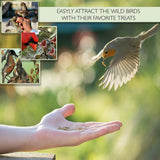 100% Non-GMO Dried Mealworms - High-Protein Mealworm Treats