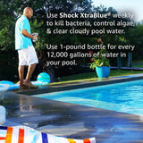 Clorox Pool&Spa Shock XtraBlue 6 Pack (1 lb Bottles)