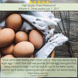 100% Non-GMO Dried Mealworms - Whole Large Meal Worms Bulk - High-Protein Treats