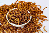 11lbs Bulk Non-GMO Dried Mealworms for Reptile, Tortoise ; Amphibian,Lizard ;..